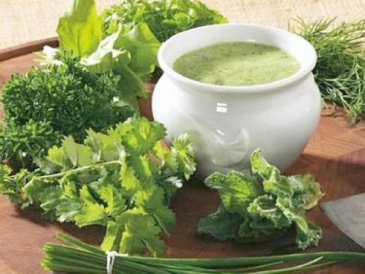 Idee de afacere: ghivecele bio cu plante